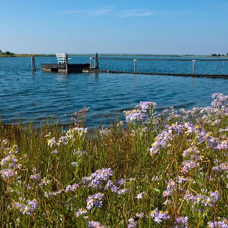 Ostsee Residenz Meeresblick Meeresrauschen Insel Poel