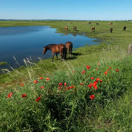 Ostsee Residenz Meeresblick Meeresrauschen * Insel Poel