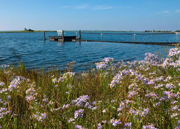 Ostsee Residenz Meeresblick Meeresrauschen Poel