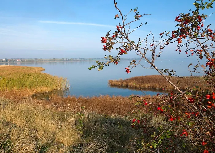 Lejlighed Ostsee Residenz Meeresblick Meeresrauschen *