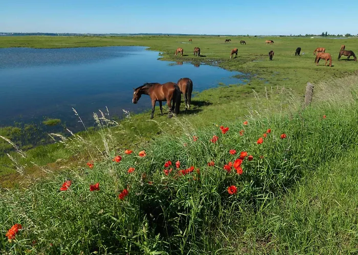 Ostsee Residenz Meeresblick Meeresrauschen * Poel