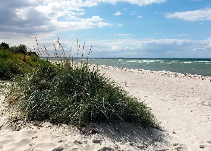 Lejlighed Ostsee Residenz Meeresblick Meeresrauschen Poel